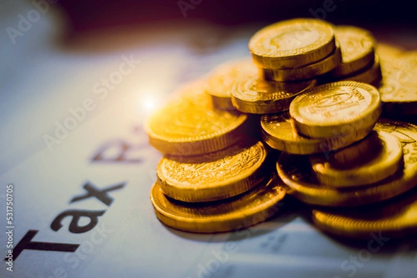Obraz Financial statistics, infographics papers, check sums,
forex profits, loans, savings and credit concepts, chart papers opy focus area, vintage color, Save money for the Fund.