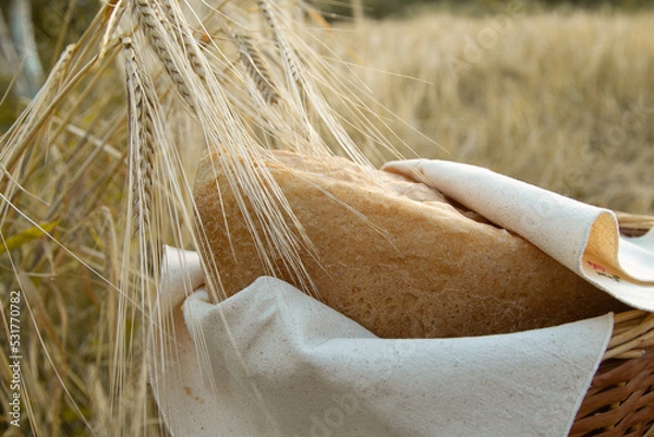 Obraz natural bread in ears of wheat, hot bread, wrapped in a linen napkin, natural colors, organic bread