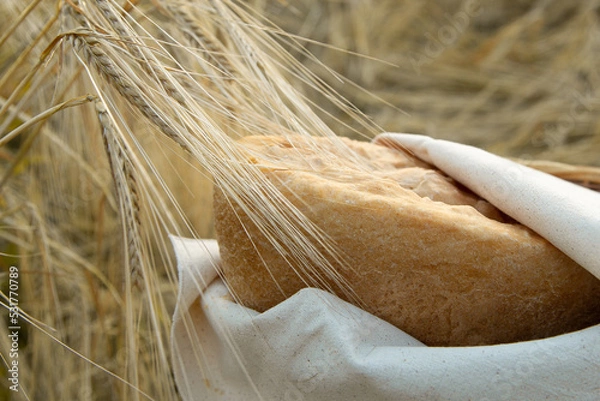 Obraz natural bread in ears of wheat, hot bread, wrapped in a linen napkin, natural colors, organic bread