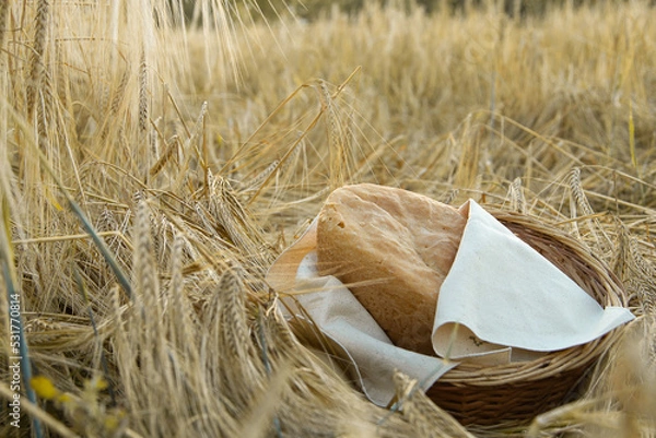 Obraz wheat and bread on the field in a wicker basket, natural colors, organic bread