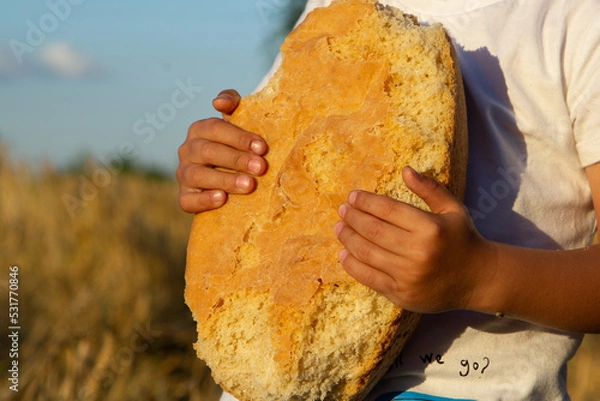 Obraz a hungry child, bread in the hands of a child, gnawed bread, bite, bitten off, bitten,