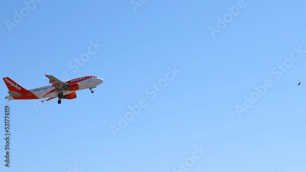 Obraz Avión, curioso