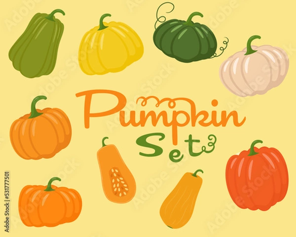 Obraz Autumn pumpkin set in various shapes and colours. Vector illustration.