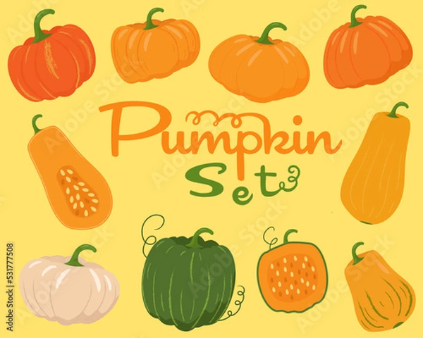 Obraz Autumn pumpkin set in various shapes and colours. Vector illustration.