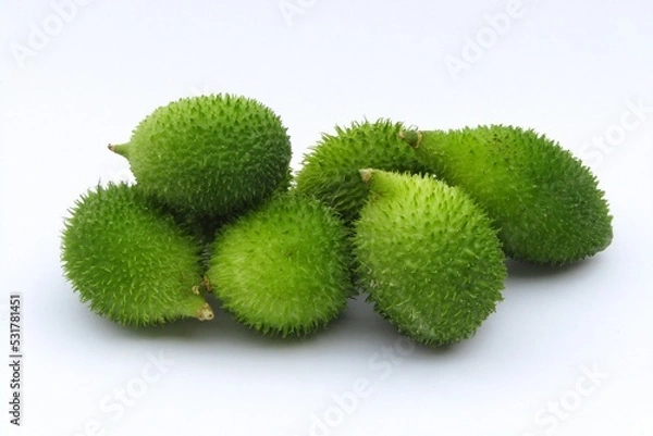 Obraz Green spiny gourd isolated on white background 