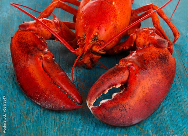 Fototapeta Red lobster on wooden table close-up
