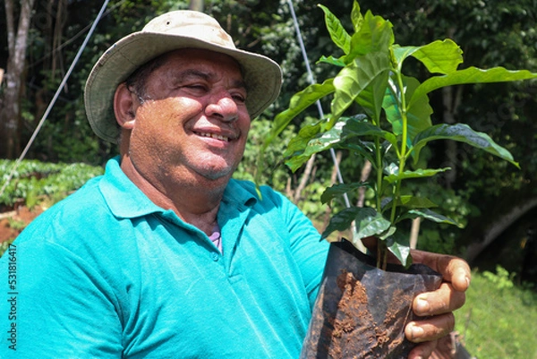 Fototapeta Happy and smiley farmer hold a coffee plant on his hands