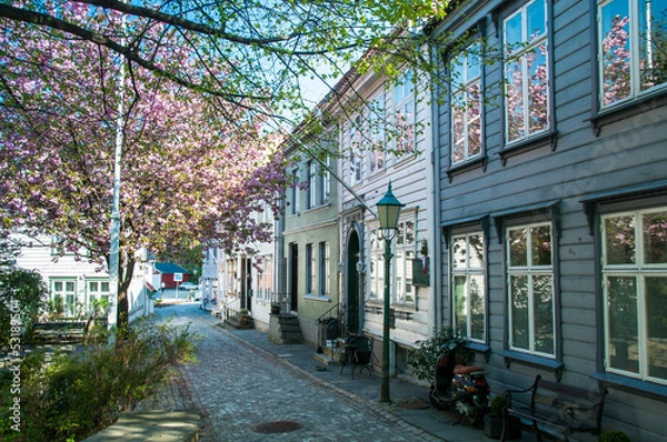 Obraz calle de bergen