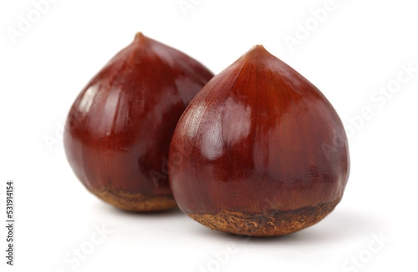 Obraz Chestnut on the white background