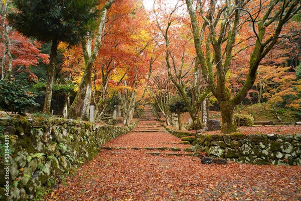 Obraz 鶏足寺晩秋