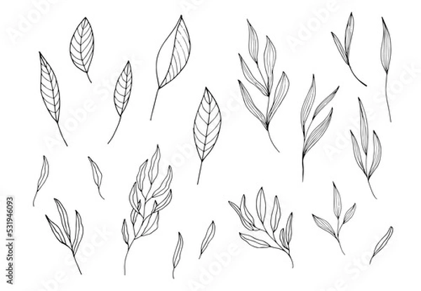 Obraz Hand drawn illustration of branches, leaves and flowers. Design elements
