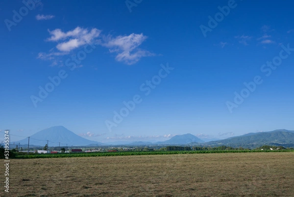 Fototapeta 青い大空のもと羊蹄山と尻別岳を望む