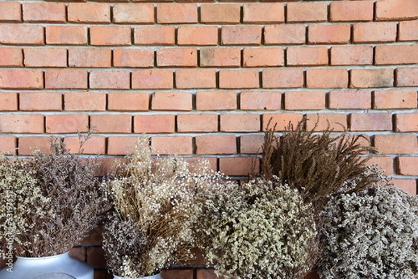 Obraz Dried flower a decor in the cafe for a wallpaper.