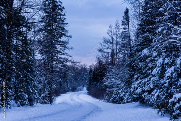 Obraz Spider Lake Road