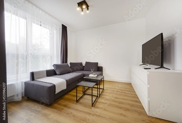 Fototapeta Jasny salon w apartamencie z szarą kanapą, stolikiem kawoym i telewiziorem