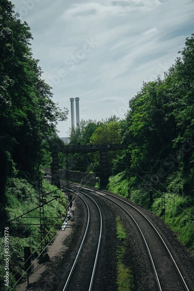 Obraz Railroad with green trees of the both sides
