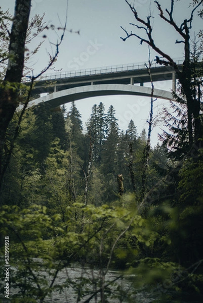 Obraz Beautiful forest with river on the background of the bridge