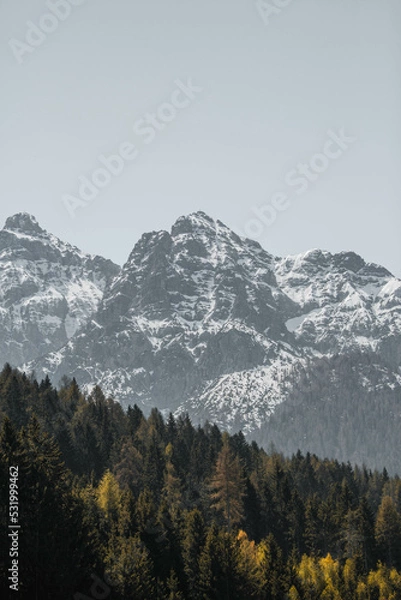 Obraz snow covered mountains in Austria 