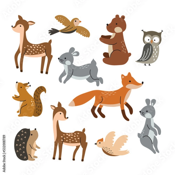Fototapeta Set of cute forest animals isolated on white background. Vector illustration for your design