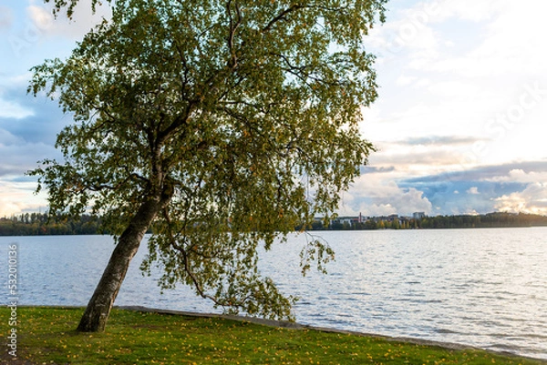 Fototapeta Autumnal park in Finland. An image of a beautiful park on an autumn evening, sun is about to go down and colorful trees and paths in fresh air invites people to walk.