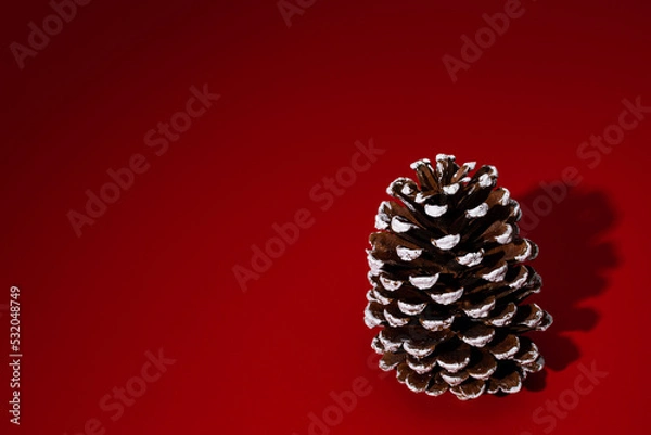 Obraz christmas decoration on red background
