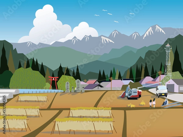 Fototapeta 稲刈りをする田舎の農村風景