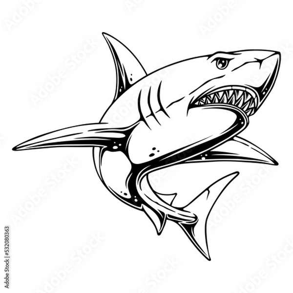 Obraz vector illustration Side view of a shark with its prey hunting position in the water black and white design