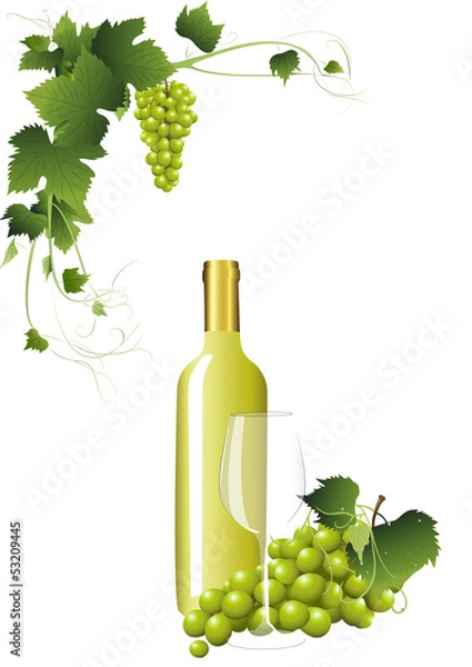 Fototapeta Weißwein und Trauben