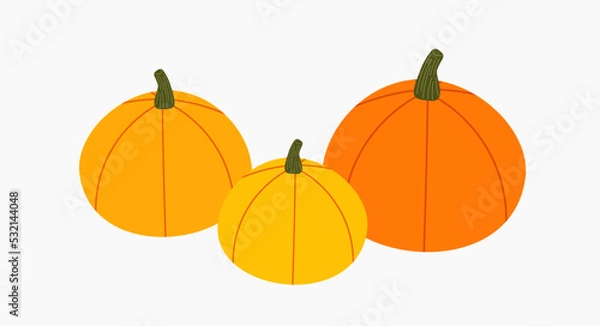 Fototapeta Pumpkins harvest icon.