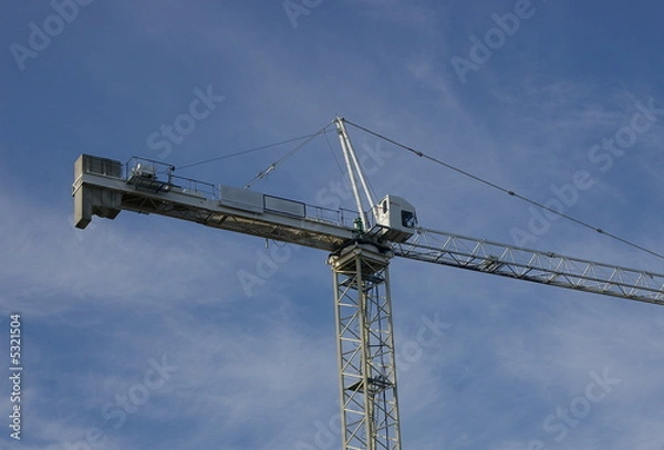 Obraz Hammerhead Crane