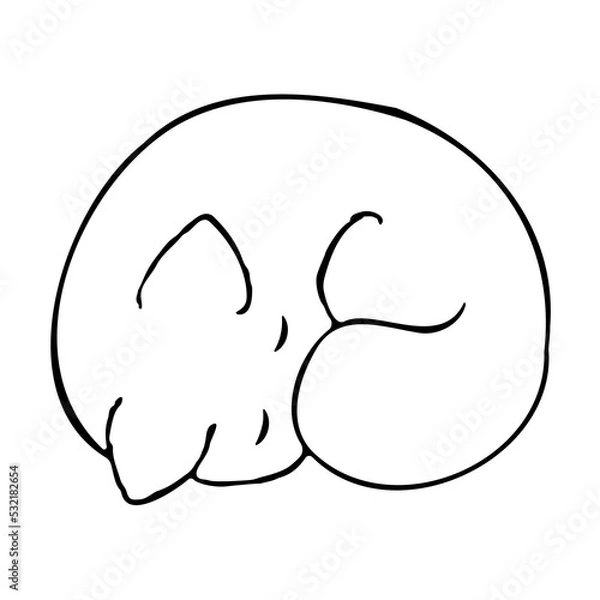 Fototapeta Sleepy cat doodle isolated on white background. Hand drawn ink sketch. Pet vector illustration. Domestic cute curled up kitten. Monochrome outline clip art. Simple animal icon