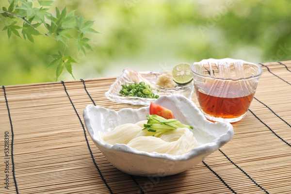 Obraz 冷やし素麺