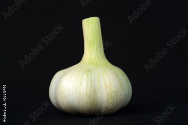 Fototapeta にんにく