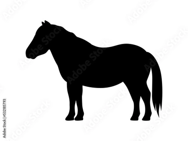 Obraz Vector pony silhouette