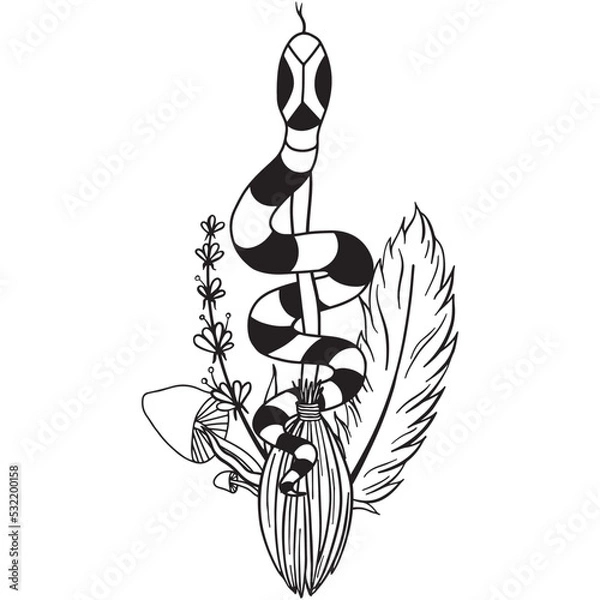 Fototapeta Hand drawn magical composition with a snake on a broom, magical herbs, mushrooms and a feather