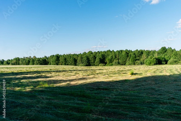 Obraz landscape with trees