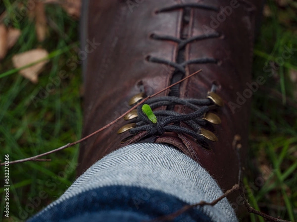 Fototapeta Green bug on a boot
