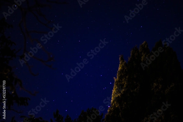 Fototapeta Starry sky, summer