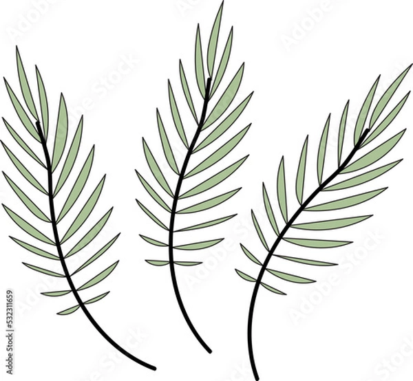 Obraz leaf illustration