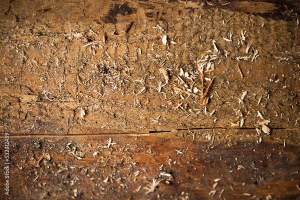 Fototapeta wooden background with copy-space,close-up view
