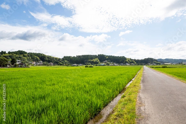 Obraz 姶良市永瀬の田園地帯	
