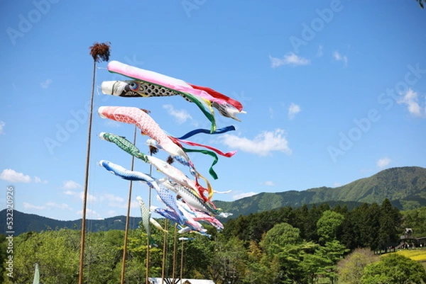 Obraz 青空とこいのぼり