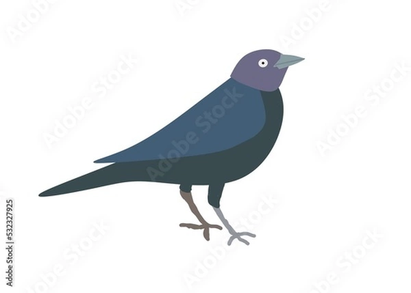 Obraz bird on a branch