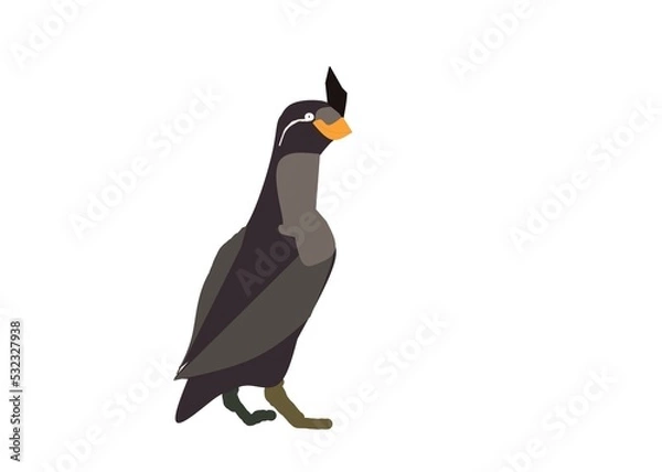 Obraz penguin on a white background