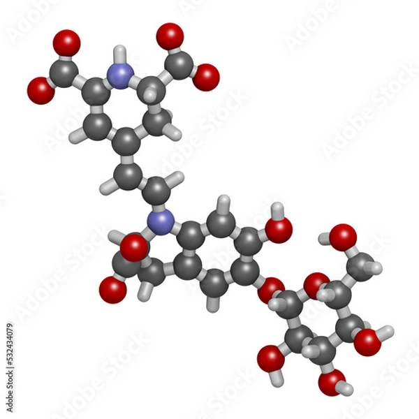 Fototapeta Betanin or beetrood red plant pigment molecule, 3D rendering.