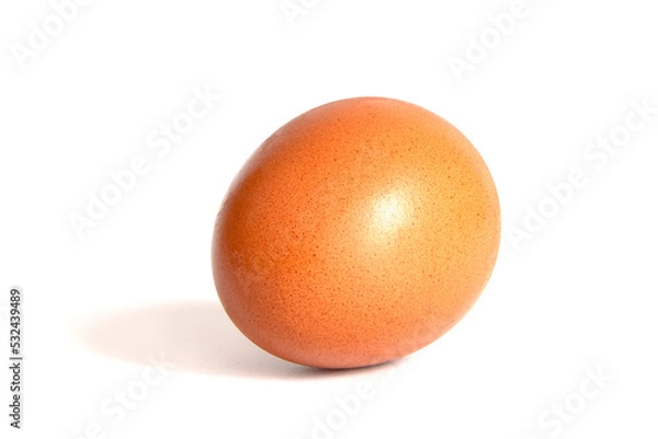 Obraz single brown chicken egg isolated on white background