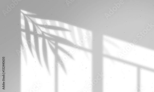 Fototapeta Leaves and window pane shadow overlay effect