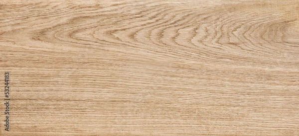 Obraz tekstura dębu