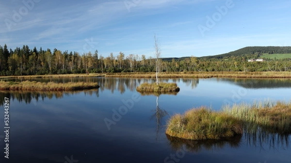 Obraz wetland island
