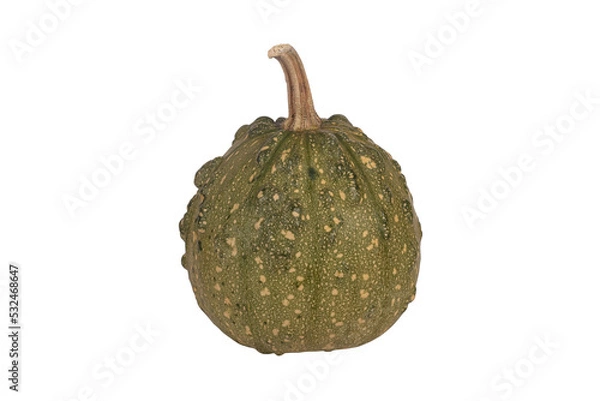 Obraz Decorative pumpkin isolated on white background